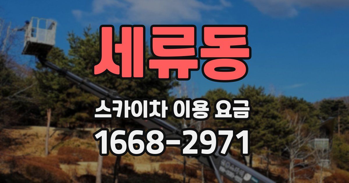 세류동 스카이차 이용 요금