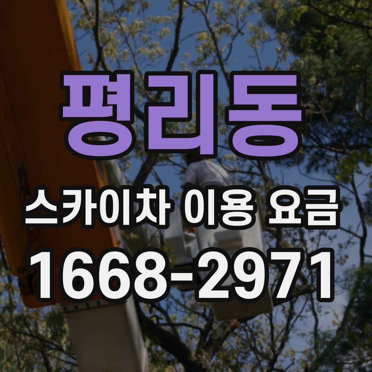 평리동 스카이차 이용 요금