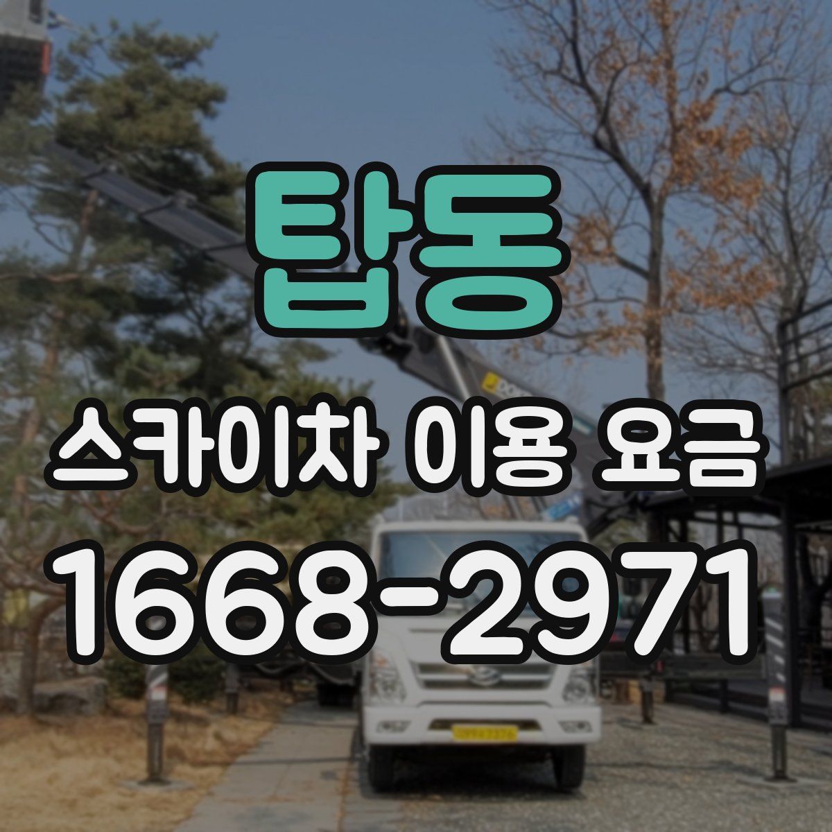 탑동 스카이차 이용 요금
