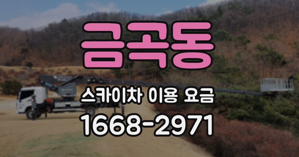 금곡동 스카이차 이용 요금