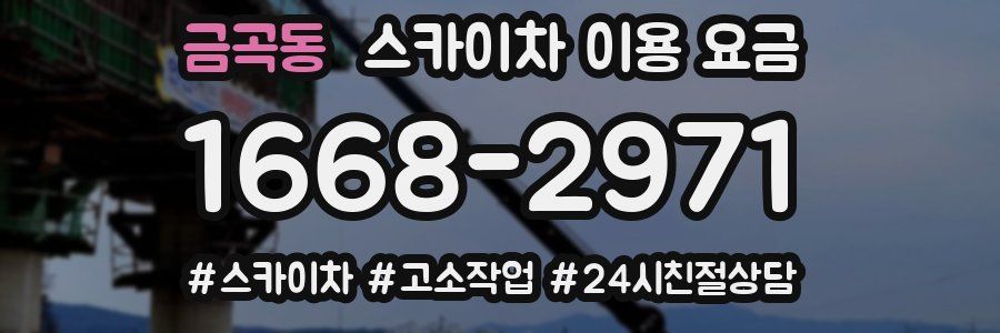 금곡동 스카이차 이용 요금