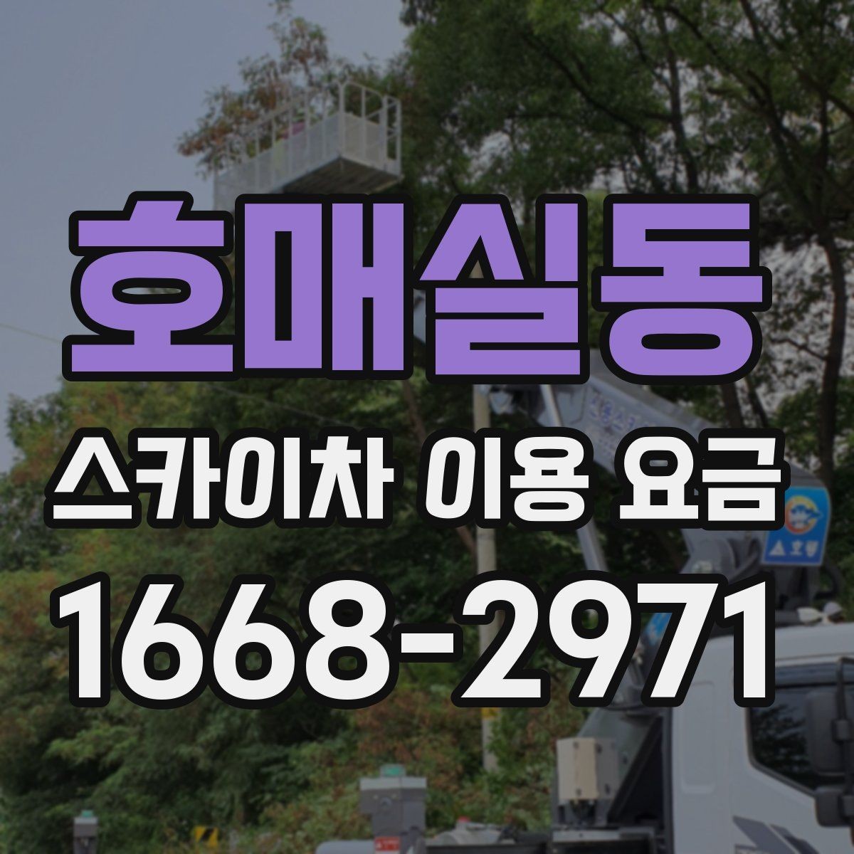 호매실동 스카이차 이용 요금 문의 후 견적이 달라지는 이유