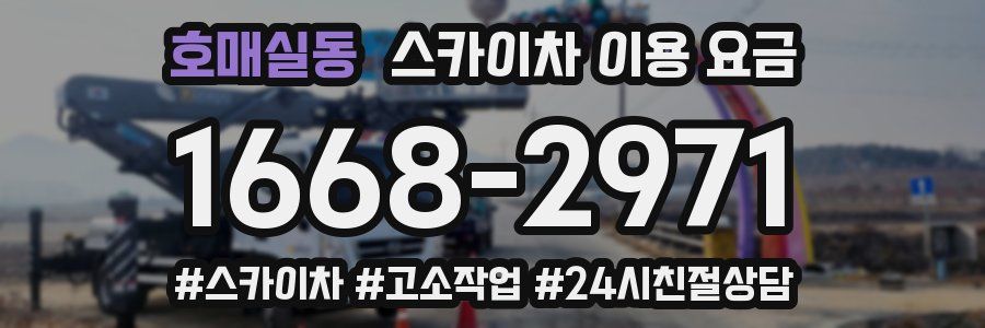 호매실동 스카이차 이용 요금