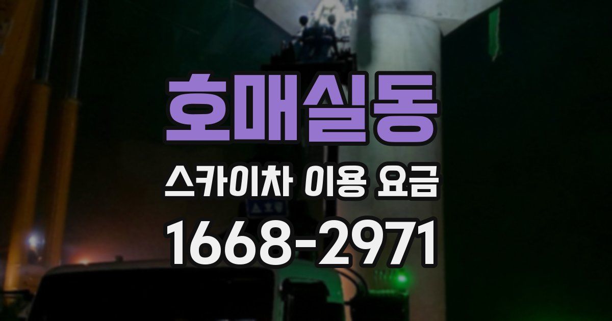 호매실동 스카이차 이용 요금