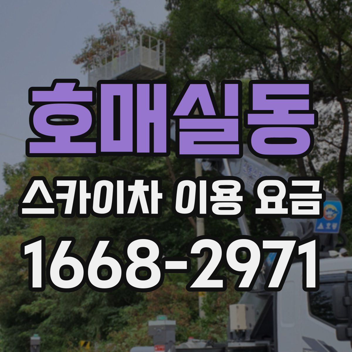 호매실동 스카이차 이용 요금