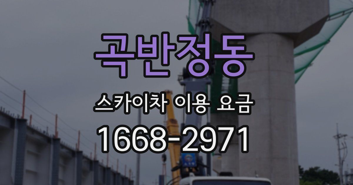 곡반정동 스카이차 이용 요금