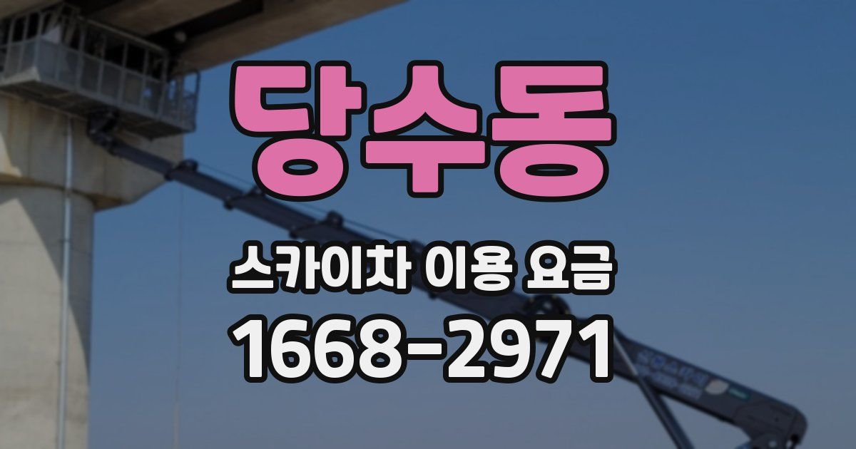 당수동 스카이차 이용 요금