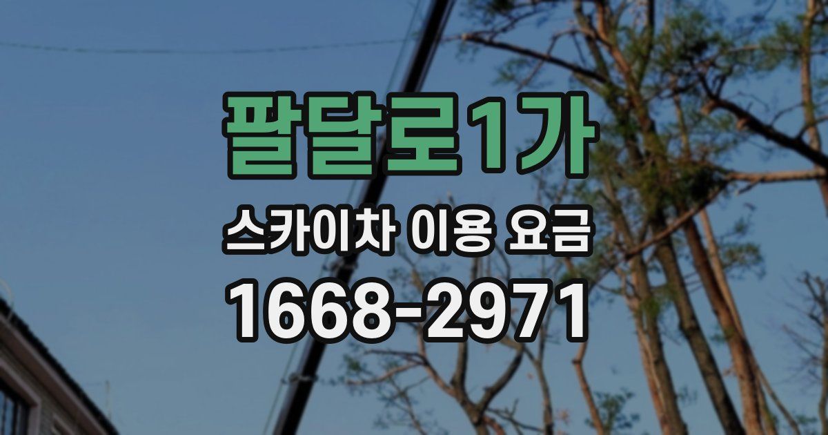 팔달로1가 스카이차 이용 요금