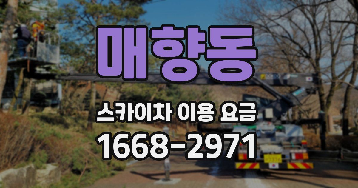 매향동 스카이차 이용 요금