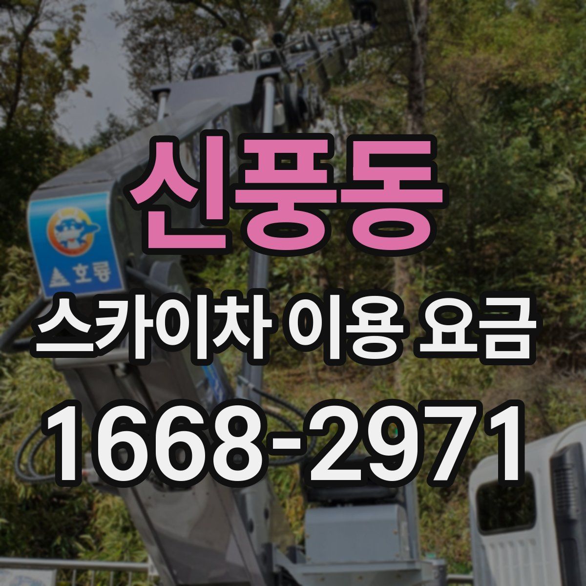 신풍동 스카이차 이용 요금