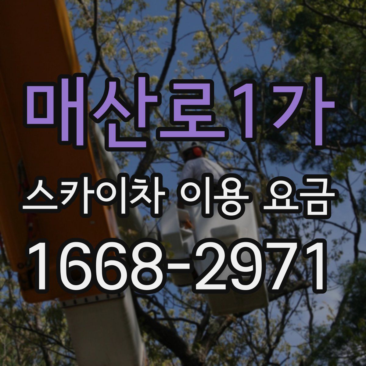 매산로1가 스카이차 이용 요금