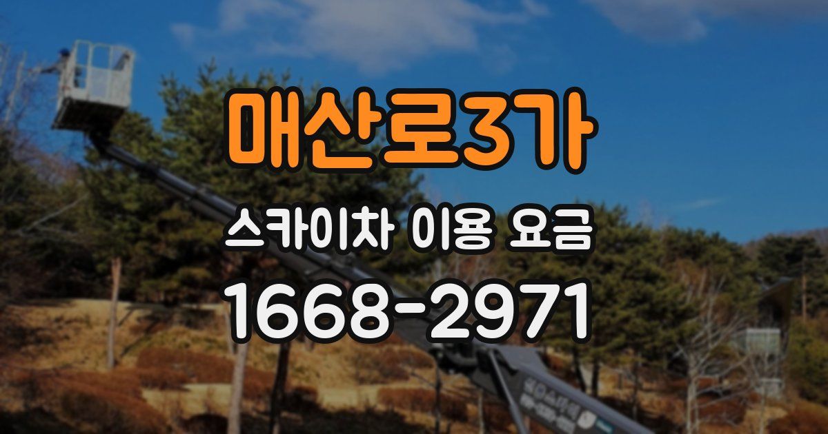 매산로3가 스카이차 이용 요금