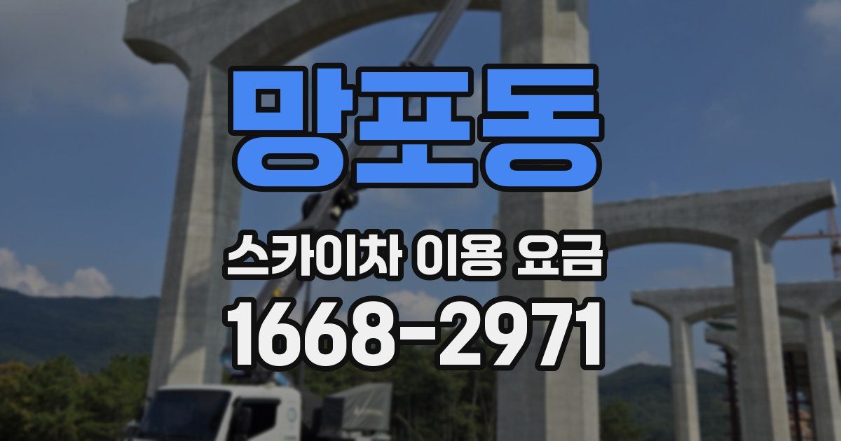 망포동 스카이차 이용 요금