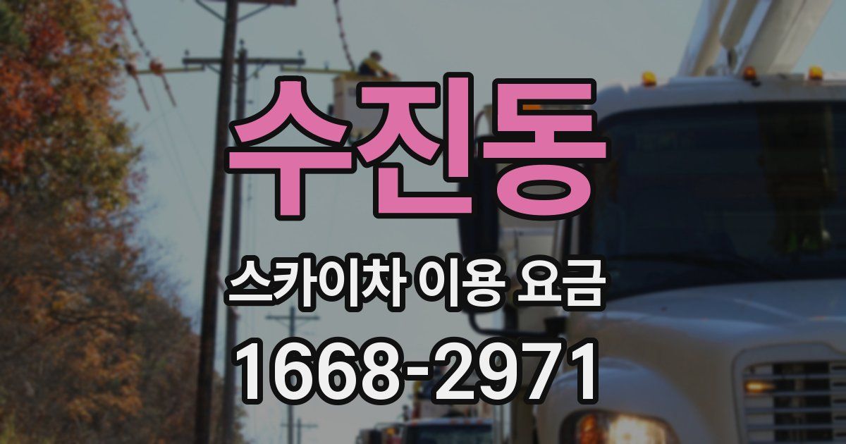 수진동 스카이차 이용 요금