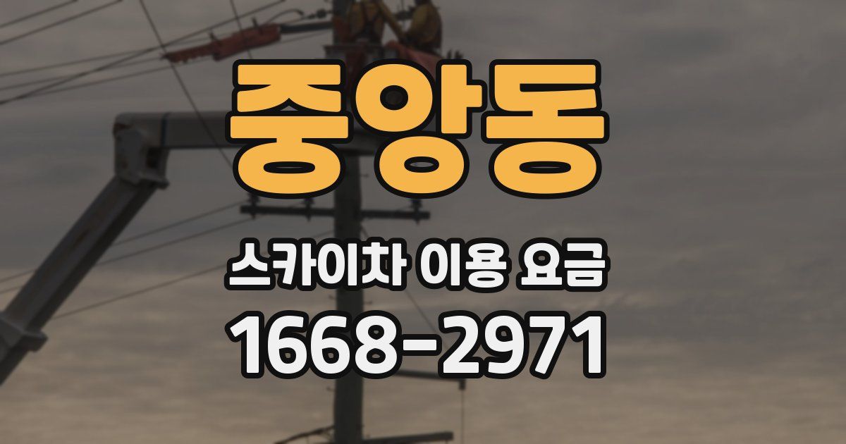 중앙동 스카이차 이용 요금