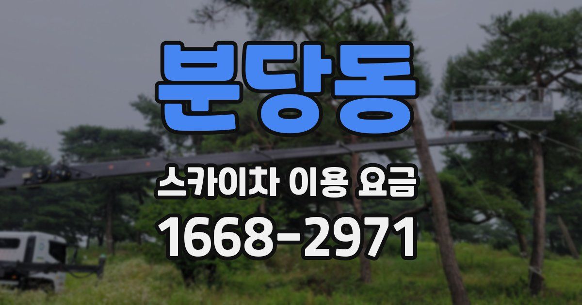 분당동 스카이차 이용 요금