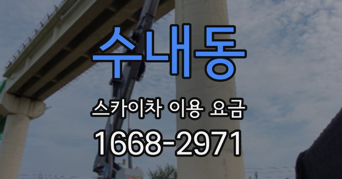 수내동 스카이차 이용 요금