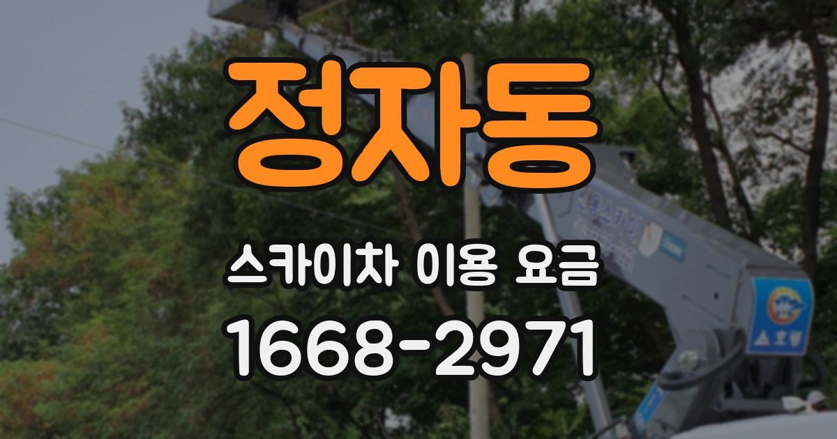 정자동 스카이차 이용 요금