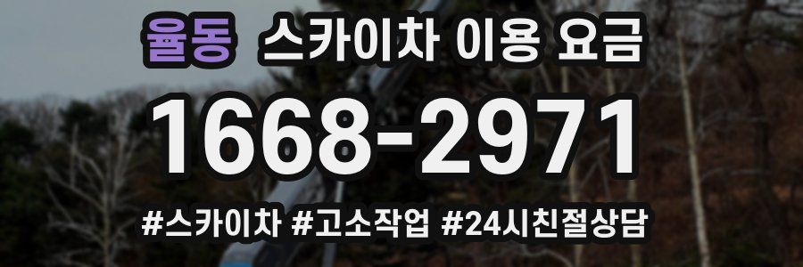 율동 스카이차 이용 요금