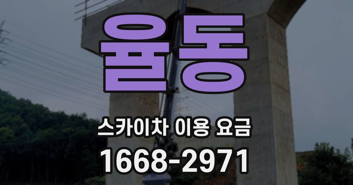 율동 스카이차 이용 요금