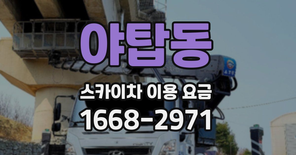 야탑동 스카이차 이용 요금