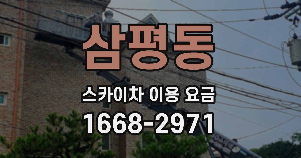 삼평동 스카이차 이용 요금