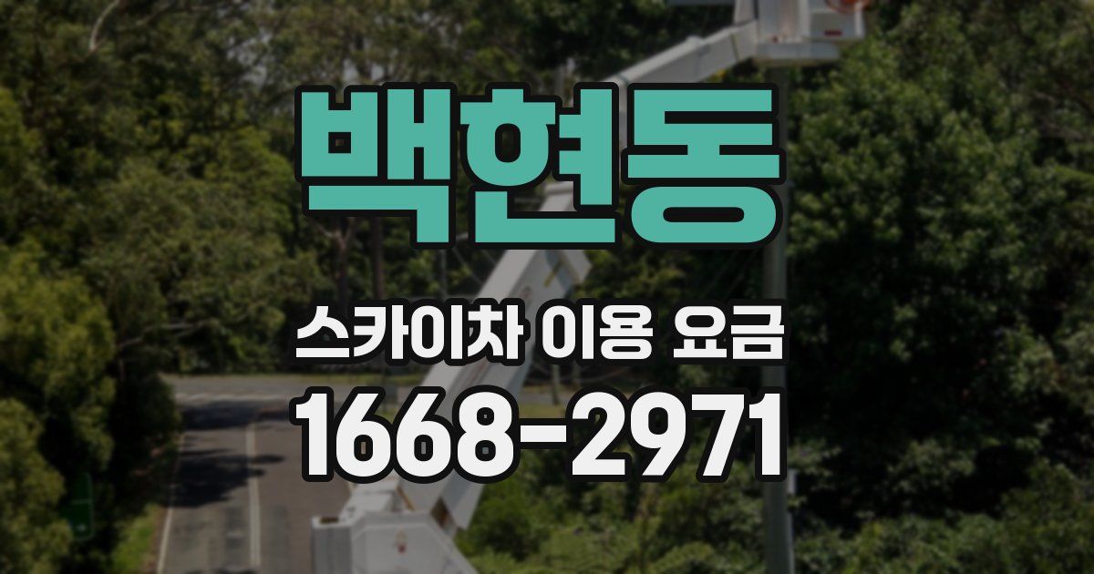 백현동 스카이차 이용 요금