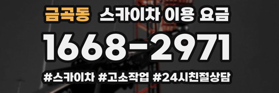 금곡동 스카이차 이용 요금