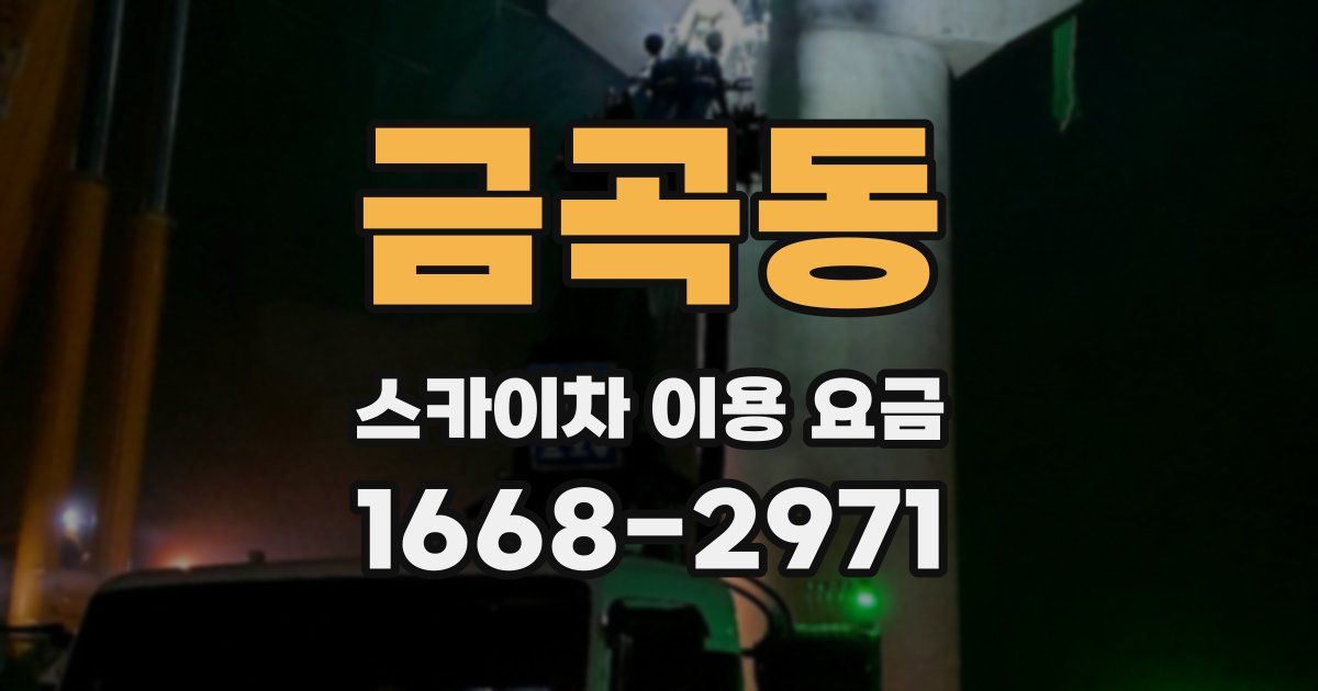 금곡동 스카이차 이용 요금