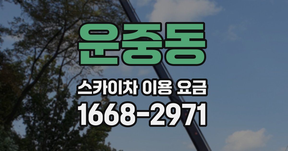 운중동 스카이차 이용 요금