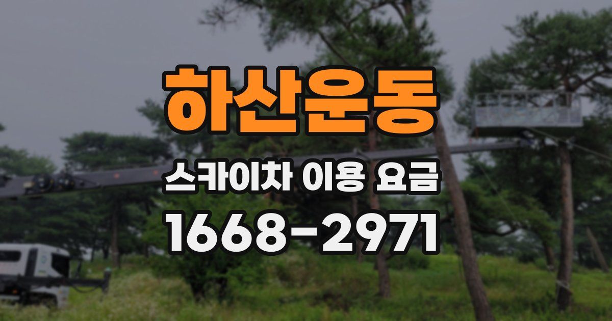 하산운동 스카이차 이용 요금