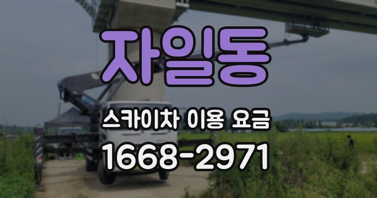 자일동 스카이차 이용 요금