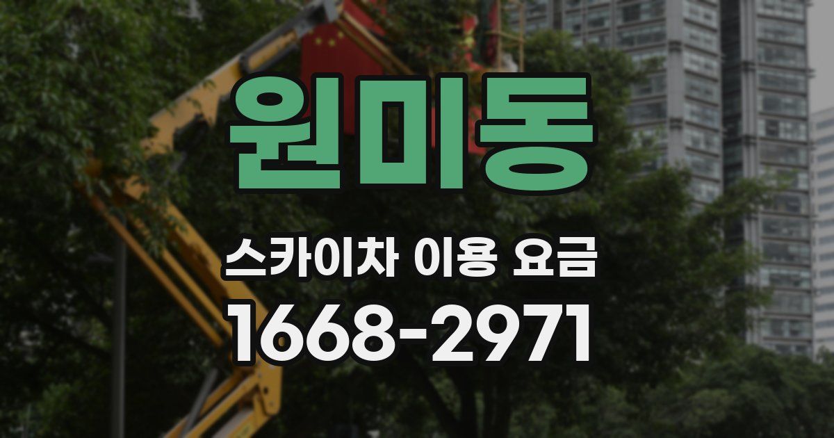 원미동 스카이차 이용 요금