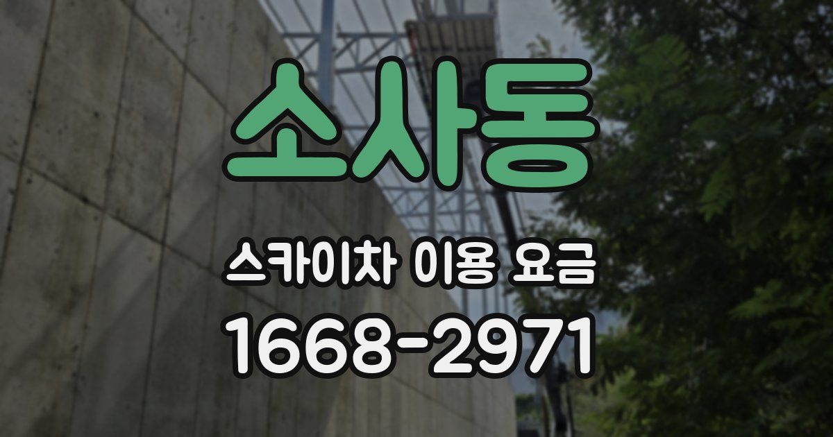 소사동 스카이차 이용 요금