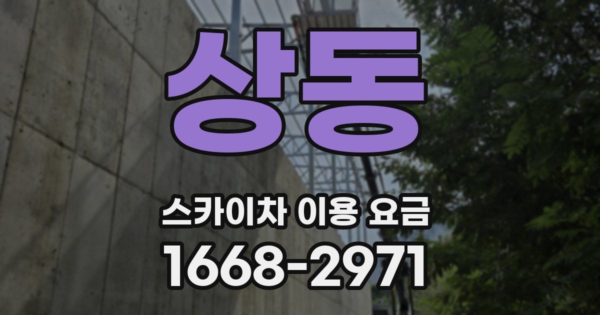 상동 스카이차 이용 요금