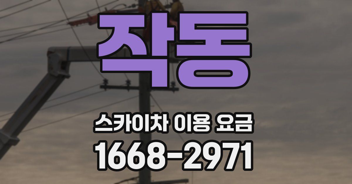 작동 스카이차 이용 요금