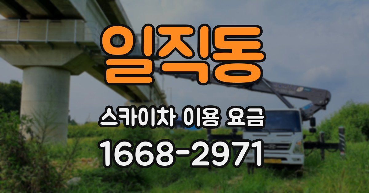 일직동 스카이차 이용 요금