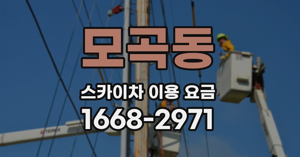 모곡동 스카이차 이용 요금