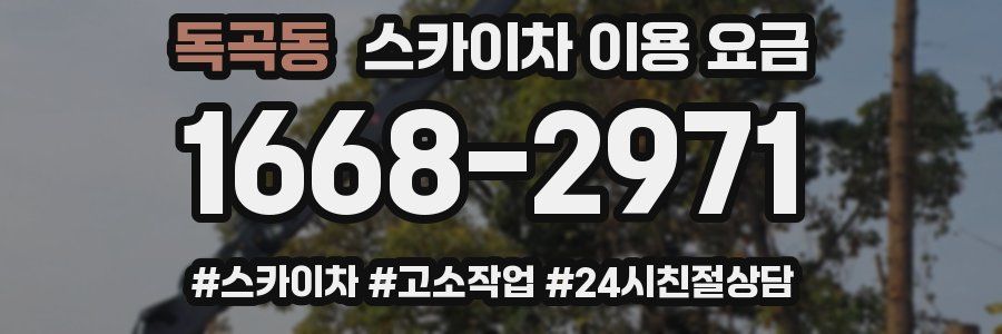 독곡동 스카이차 이용 요금