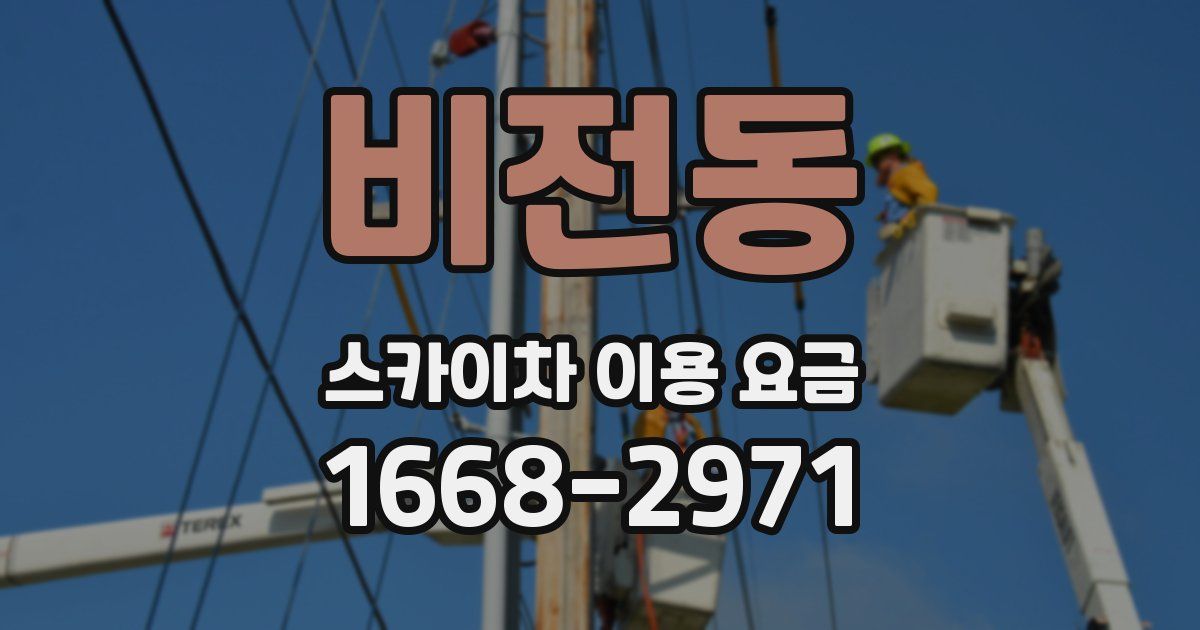 비전동 스카이차 이용 요금