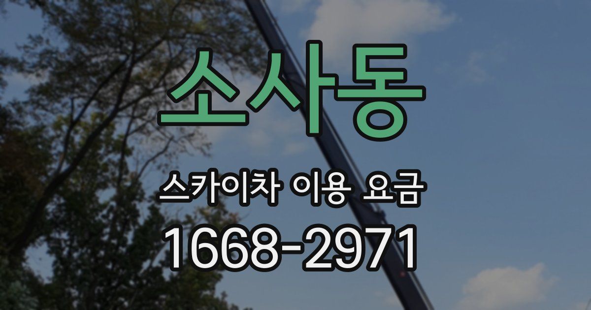 소사동 스카이차 이용 요금