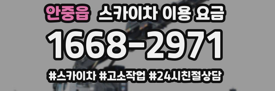 안중읍 스카이차 이용 요금