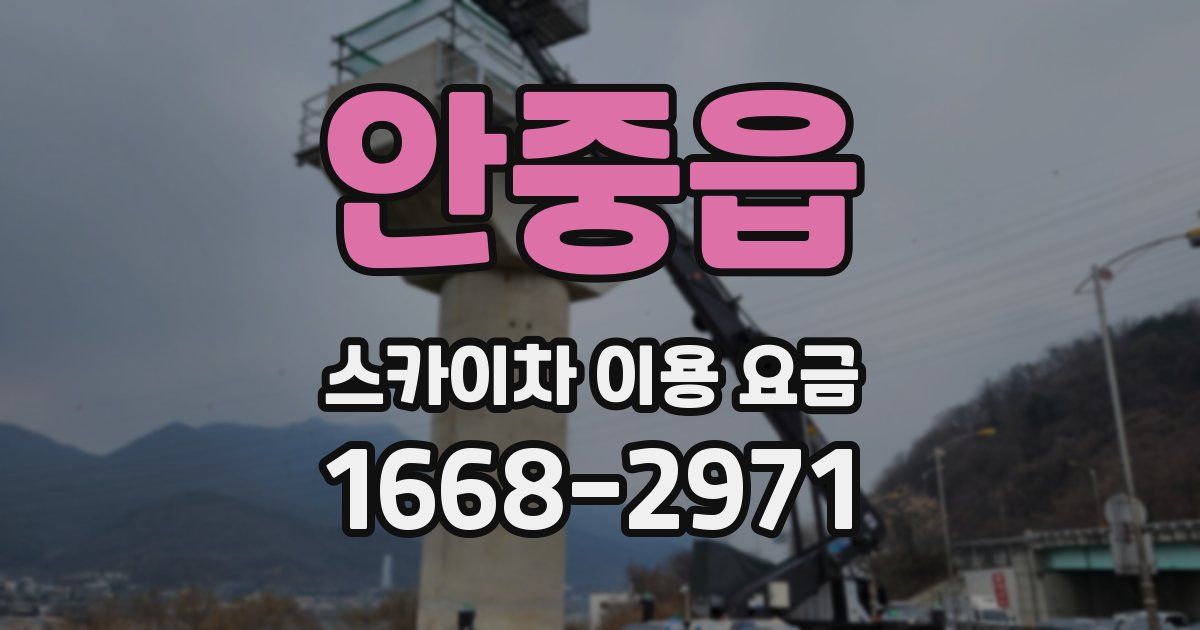 안중읍 스카이차 이용 요금