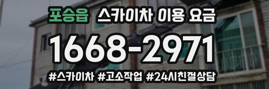 포승읍 스카이차 이용 요금