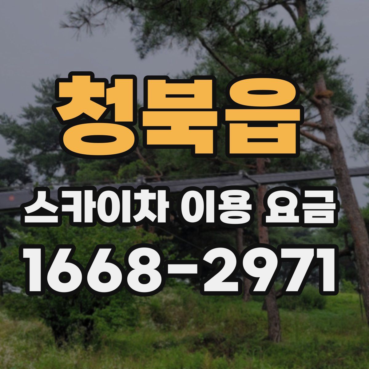 청북읍 스카이차 이용 요금