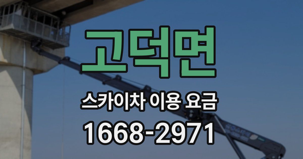 고덕면 스카이차 이용 요금