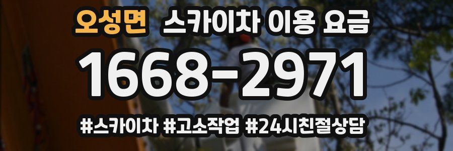 오성면 스카이차 이용 요금