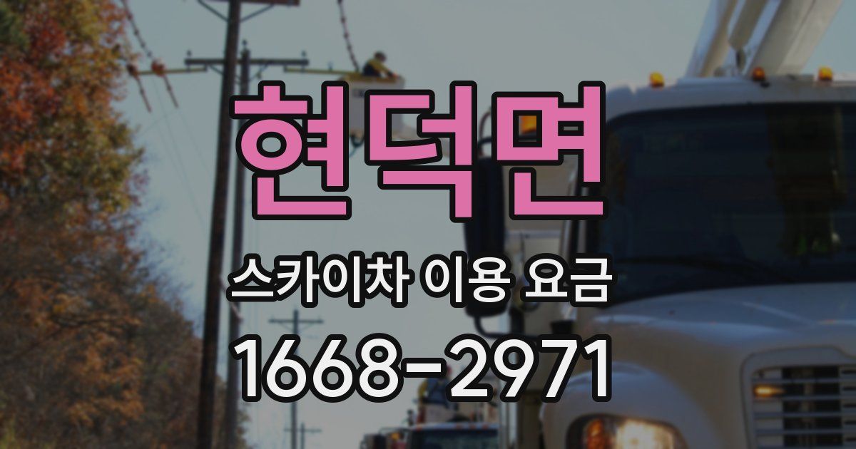 현덕면 스카이차 이용 요금