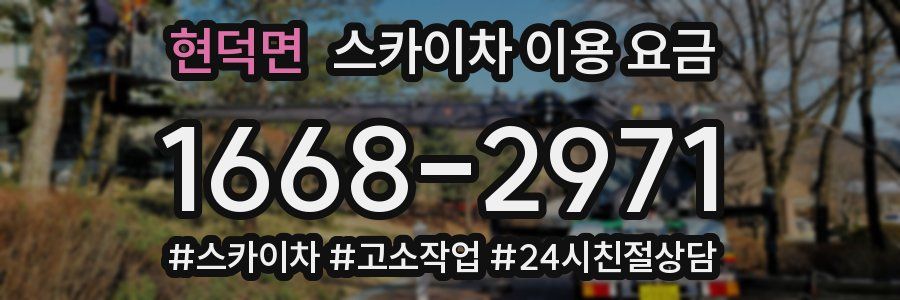 현덕면 스카이차 이용 요금