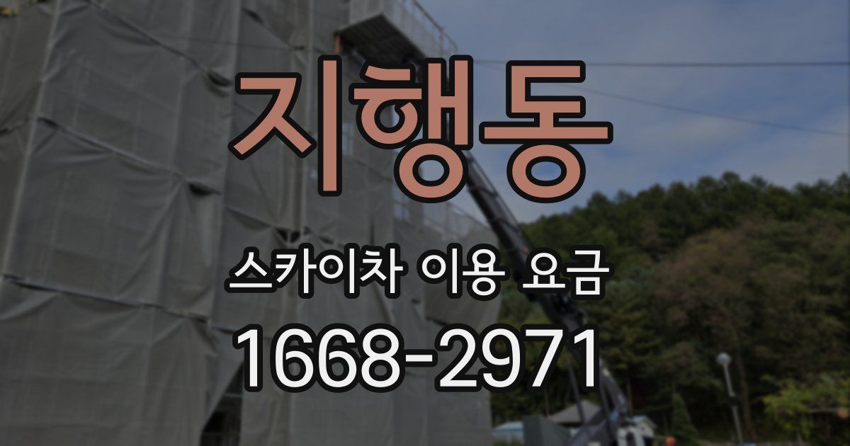 지행동 스카이차 이용 요금